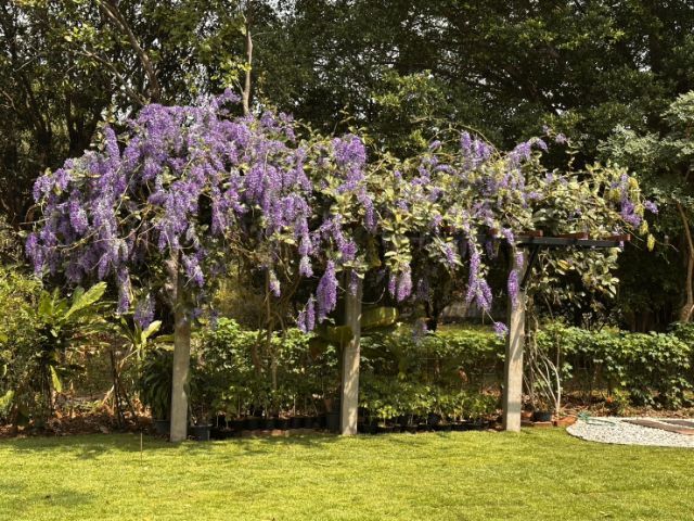 มีบางส่วน 2018 บ้านสระบุรี รูปที่ 2