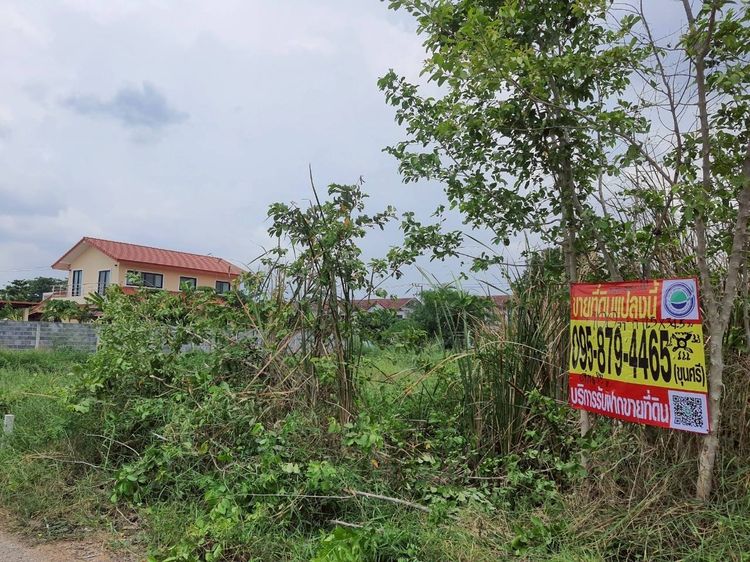 ขายถูกที่สุดที่ดินทำเลดี 100 ตรว ติดถนนสาธารณะ ซ.คลองห้าตะวันออก 3 อ.คลองหลวง จ.ปทุมธานี   รูปที่ 4