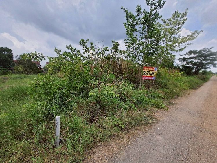 ขายถูกที่สุดที่ดินทำเลดี 100 ตรว ติดถนนสาธารณะ ซ.คลองห้าตะวันออก 3 อ.คลองหลวง จ.ปทุมธานี รูปที่ 2