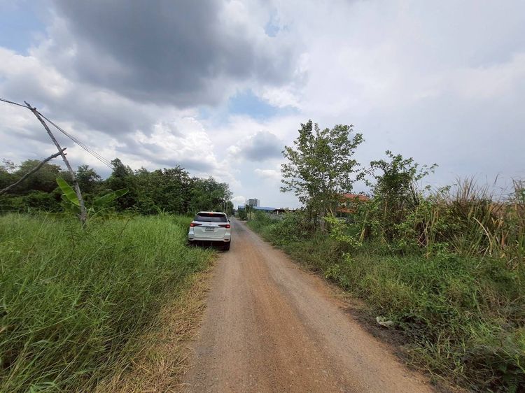 ขายถูกที่สุดที่ดินทำเลดี 100 ตรว ติดถนนสาธารณะ ซ.คลองห้าตะวันออก 3 อ.คลองหลวง จ.ปทุมธานี รูปที่ 3