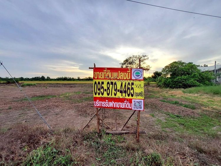 ขายด่วนที่ดินติดถนนเลียบคลองห้า 368 ตรว ติดถนนคอนกรีตสาธารณะ อ.คลองหลวง จ.ปทุมธานี  