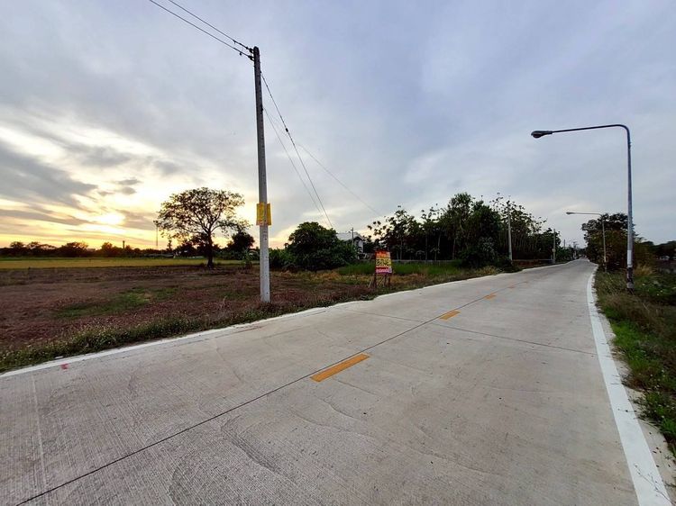 ขายด่วนที่ดินติดถนนเลียบคลองห้า 368 ตรว ติดถนนคอนกรีตสาธารณะ อ.คลองหลวง จ.ปทุมธานี รูปที่ 3