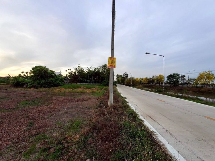 ขายด่วนที่ดินติดถนนเลียบคลองห้า 368 ตรว ติดถนนคอนกรีตสาธารณะ อ.คลองหลวง จ.ปทุมธานี รูปที่ 2