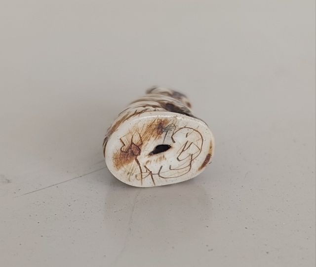 เขี้ยวแกะ รูปที่ 2