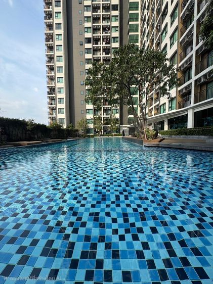 อื่นๆ ไม่อนุญาต 🔥 ขายคอนโดเคนซิงตัน สุขุมวิท-เทพารักษ์ ติด MRT ทิพวัล เดินได้จริง ห้องสวย พร้อมอยู่ 🔥 รูปที่ 2