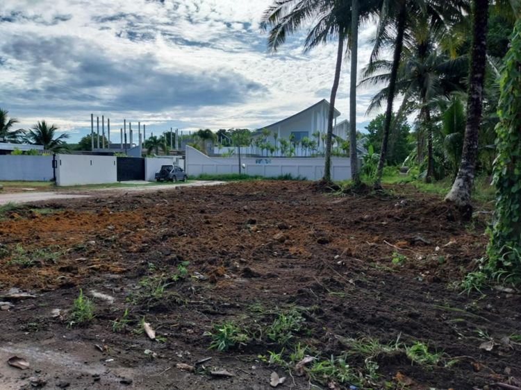LAND FOR SALE 400 m TO BEACH Khok Kloi Phang Nga 452 SQ.M 20 MIN TO PHUKET AIRPORT 🌴 ขายที่ดินใกล้ชายหาด 452 ตร.ม. รูปที่ 2