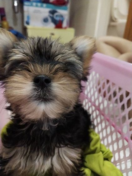 นัดดูความสวยได้พิกัดนครสวรรค์