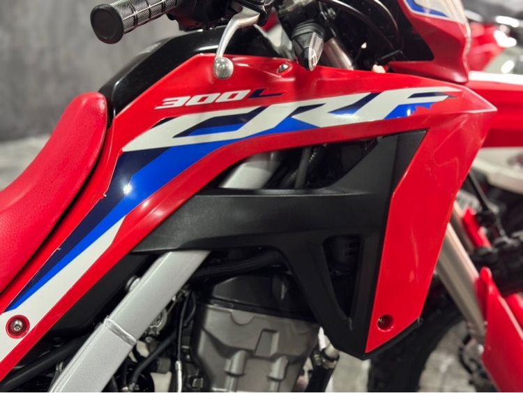 Honda Crf300L รูปที่ 14