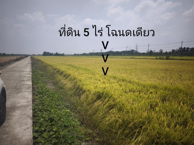 ที่ดินเปล่าหนองจอก
