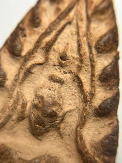 พระขุนแผนพรายเดี่ยว เนื้อดิน รูปที่ 5