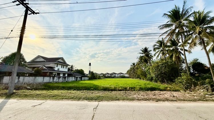 ไม่ใช่ ที่ดินแปลงสวย ใกล้ ม.แม่โจ้ อ.สันทราย จ.เชียงใหม่