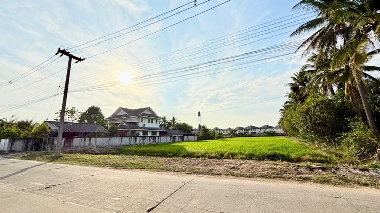 ไม่ใช่ ที่ดินแปลงสวย ใกล้ ม.แม่โจ้ อ.สันทราย จ.เชียงใหม่ รูปที่ 2