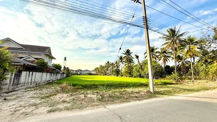 ไม่ใช่ ที่ดินแปลงสวย ใกล้ ม.แม่โจ้ อ.สันทราย จ.เชียงใหม่ รูปที่ 4