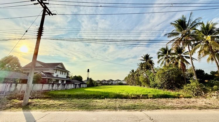 ไม่ใช่ ที่ดินแปลงสวย ใกล้ ม.แม่โจ้ อ.สันทราย จ.เชียงใหม่ รูปที่ 3