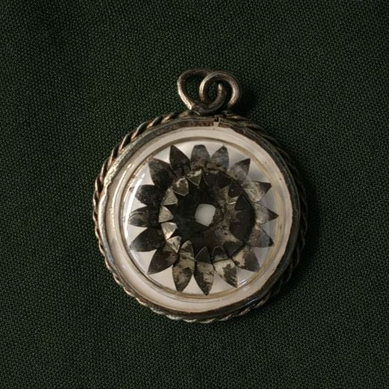 ดอกพิกุลคุณแม่บุญเรือน