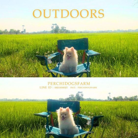 ปอม ชาย  รูปที่ 3