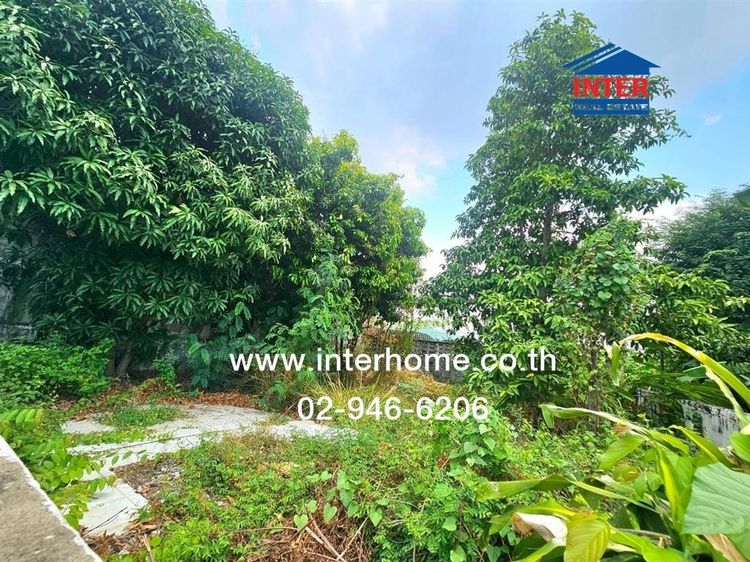 ที่ดินเปล่า 42.2 ตร.ว. ที่ดิน ใกล้เซ็นทรัลอีสต์วิลล์ ซอยโชคชัย4 ซอย54 ถนนนาคนิวาศ ถนนโชคชัย4 ซอย54 เขตลาดพร้าว กรุงเทพมหานคร รูปที่ 3