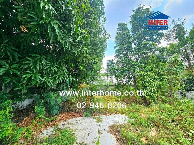 ที่ดินเปล่า 42.2 ตร.ว. ที่ดิน ใกล้เซ็นทรัลอีสต์วิลล์ ซอยโชคชัย4 ซอย54 ถนนนาคนิวาศ ถนนโชคชัย4 ซอย54 เขตลาดพร้าว กรุงเทพมหานคร รูปที่ 2