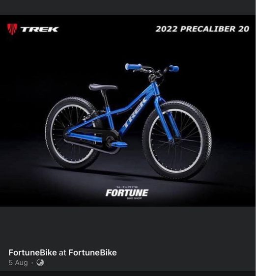 TREK Precaliber 20 7-Speed Boys สี Alpine Blue รูปที่ 12
