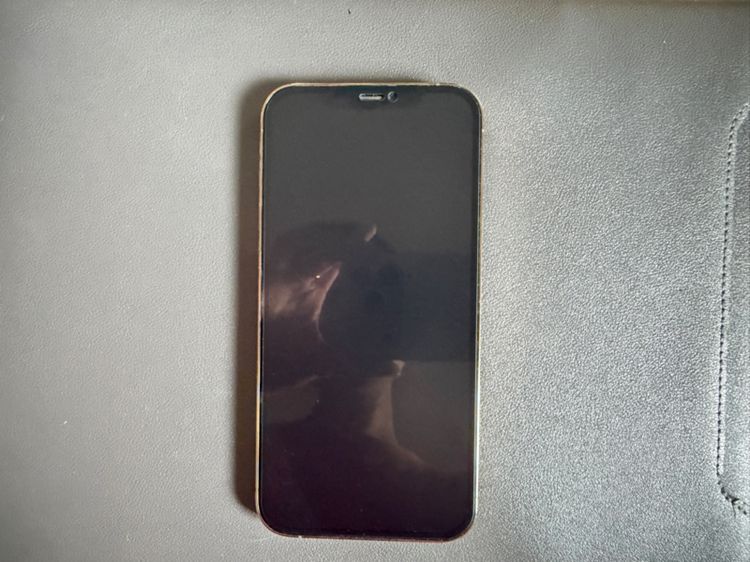 IPHONE12 pro-max 128GB - GOLD