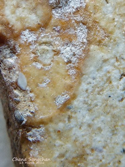 พระสมเด็จบางขุนพรหมพิมพ์สังฆาฏิ พระลงกรุเนื้อจัดผ่านการใช้งาน เป็นพระสภาพหายากมีเอกลักษณ์เฉพาะองค์ รูปที่ 9