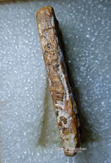 พระสมเด็จบางขุนพรหมพิมพ์สังฆาฏิ พระลงกรุเนื้อจัดผ่านการใช้งาน เป็นพระสภาพหายากมีเอกลักษณ์เฉพาะองค์ รูปที่ 17