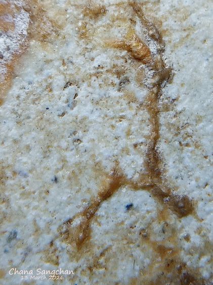 พระสมเด็จบางขุนพรหมพิมพ์สังฆาฏิ พระลงกรุเนื้อจัดผ่านการใช้งาน เป็นพระสภาพหายากมีเอกลักษณ์เฉพาะองค์ รูปที่ 13