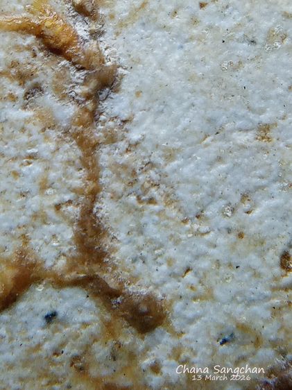 พระสมเด็จบางขุนพรหมพิมพ์สังฆาฏิ พระลงกรุเนื้อจัดผ่านการใช้งาน เป็นพระสภาพหายากมีเอกลักษณ์เฉพาะองค์ รูปที่ 14