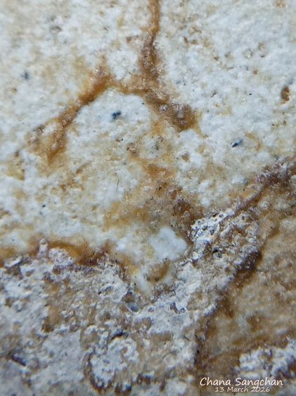 พระสมเด็จบางขุนพรหมพิมพ์สังฆาฏิ พระลงกรุเนื้อจัดผ่านการใช้งาน เป็นพระสภาพหายากมีเอกลักษณ์เฉพาะองค์ รูปที่ 12