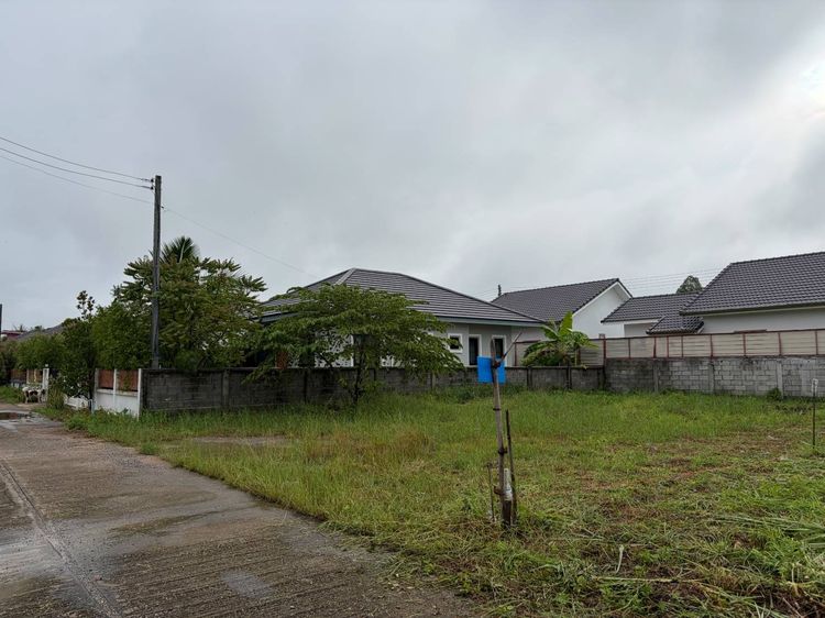 ที่ดินเปล่าเมืองลำพูนใกล้เครือสหพัฒน์ รูปที่ 2