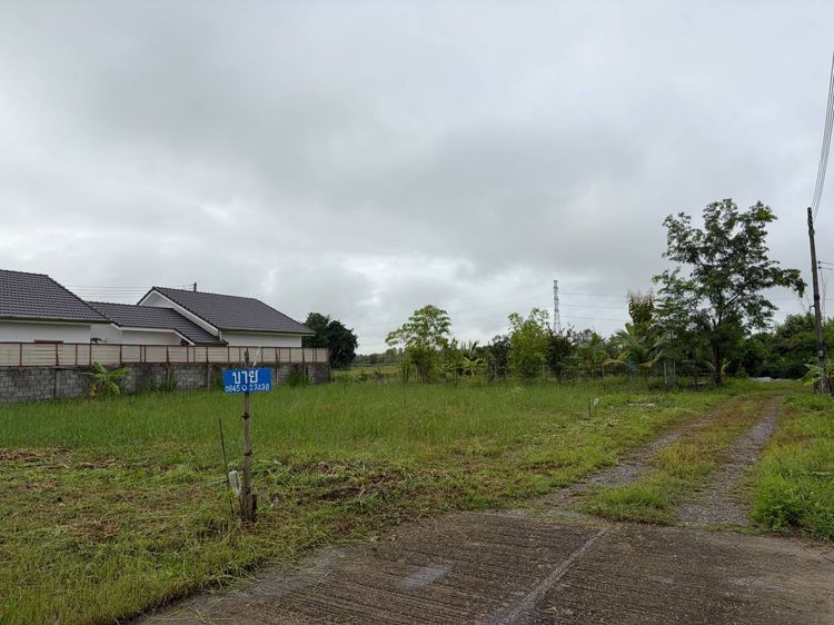 ที่ดินเปล่าเมืองลำพูนใกล้เครือสหพัฒน์