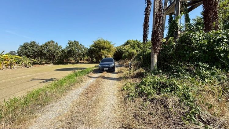 ขายที่ดินเปล่า นครนายก รูปที่ 4