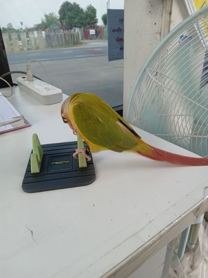 หาบ้านครับ รูปที่ 4