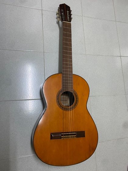 กีตาร์ ญี่ปุ่นเสียงดี japan