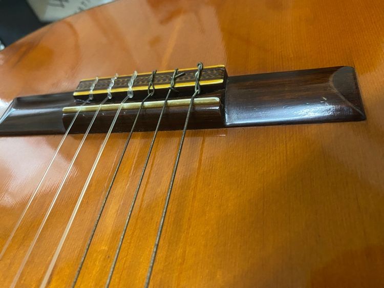 กีตาร์ ญี่ปุ่นเสียงดี japan รูปที่ 16