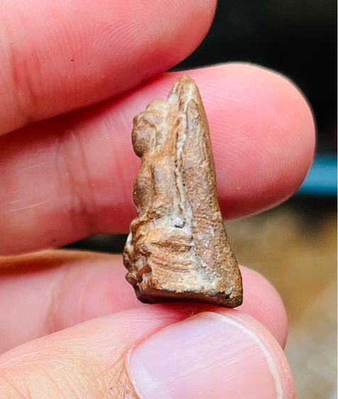 พระรอด รูปที่ 5