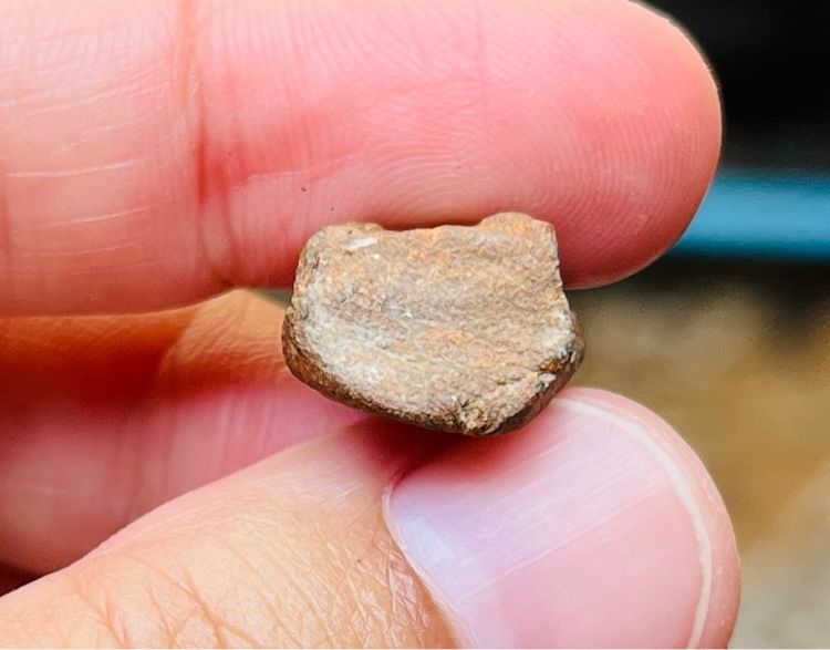 พระรอด รูปที่ 6