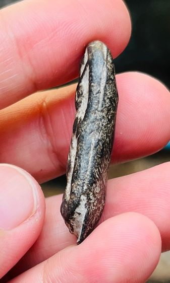 พระสิวลี รูปที่ 5