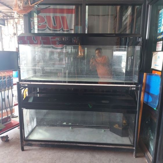 ตู้ปลากระจก 60นิ้ว ขายเหมาสองตู้ พร้อม ชั้นวางเหล็ก สภาพดีตู้ใหญ่สะใจ