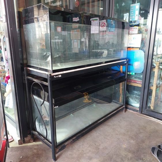 ตู้ปลากระจก 60นิ้ว ขายเหมาสองตู้ พร้อม ชั้นวางเหล็ก สภาพดีตู้ใหญ่สะใจ รูปที่ 2