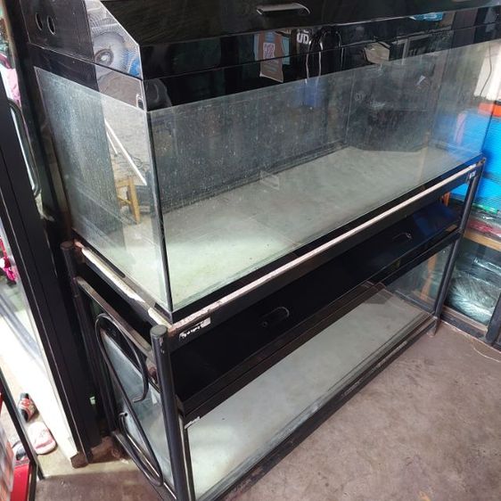ตู้ปลากระจก 60นิ้ว ขายเหมาสองตู้ พร้อม ชั้นวางเหล็ก สภาพดีตู้ใหญ่สะใจ รูปที่ 5