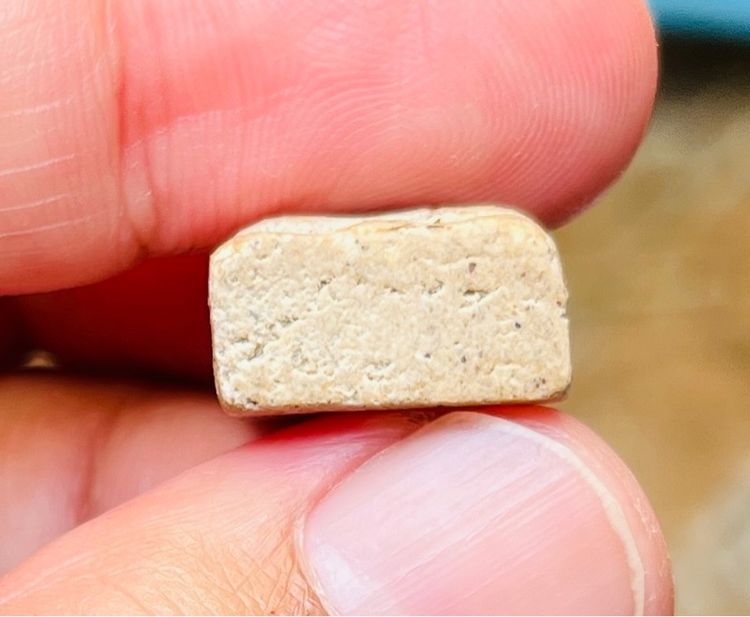 หลวงปู่เผือก รูปที่ 4