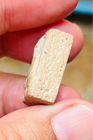 หลวงปู่เผือก รูปที่ 5