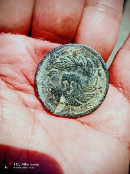 ช้าง 16 อันเฟื้อง