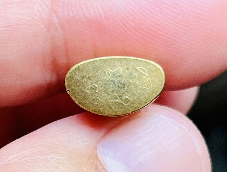 พระชัยวัฒน์ เปียกทอง รูปที่ 4