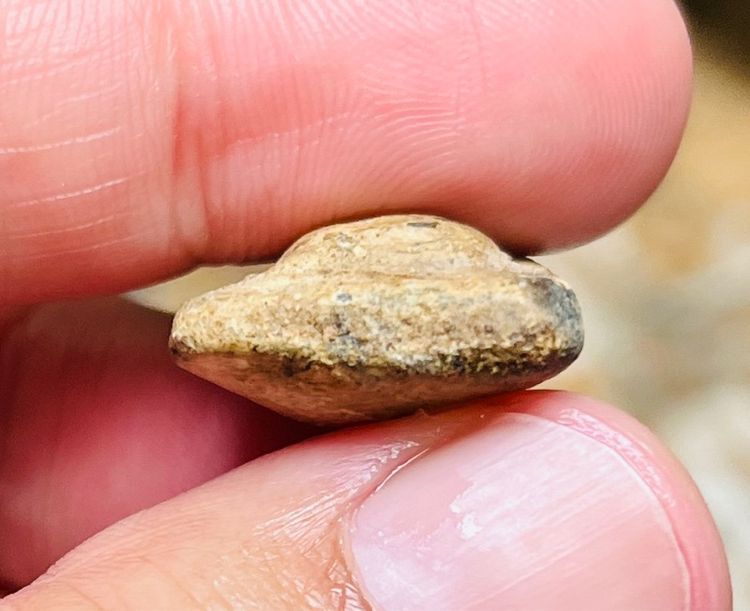 พระกรุ เก่าๆ รูปที่ 4