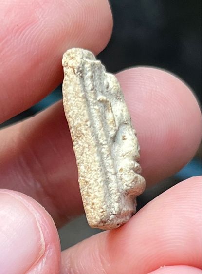 นางกวัก เนื้อผงเก่าๆ รูปที่ 5