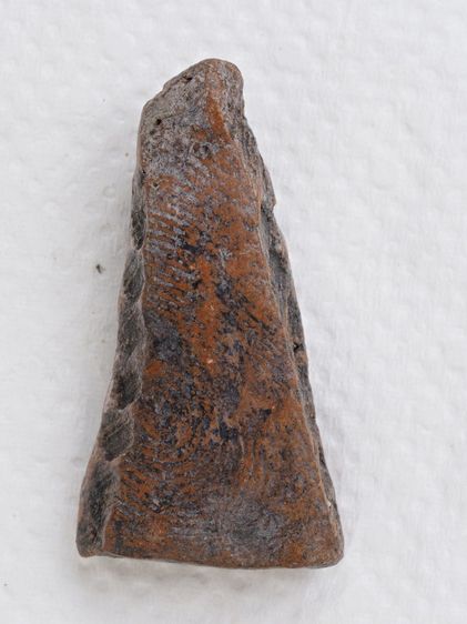 พระผงสุพรรณ 06016909 รูปที่ 2