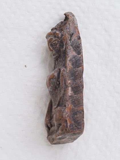 พระผงสุพรรณ 06016909 รูปที่ 3