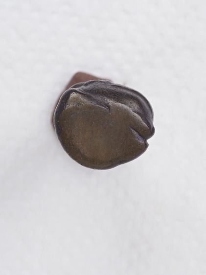 พระรูปหล่อ 06016925 รูปที่ 4